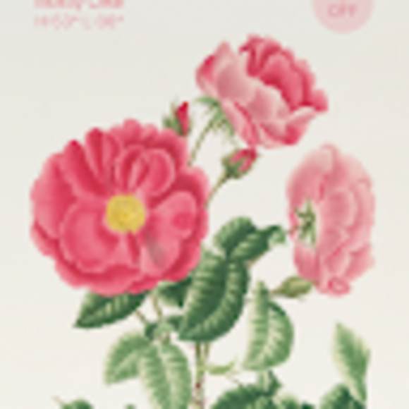 sunflowere0108